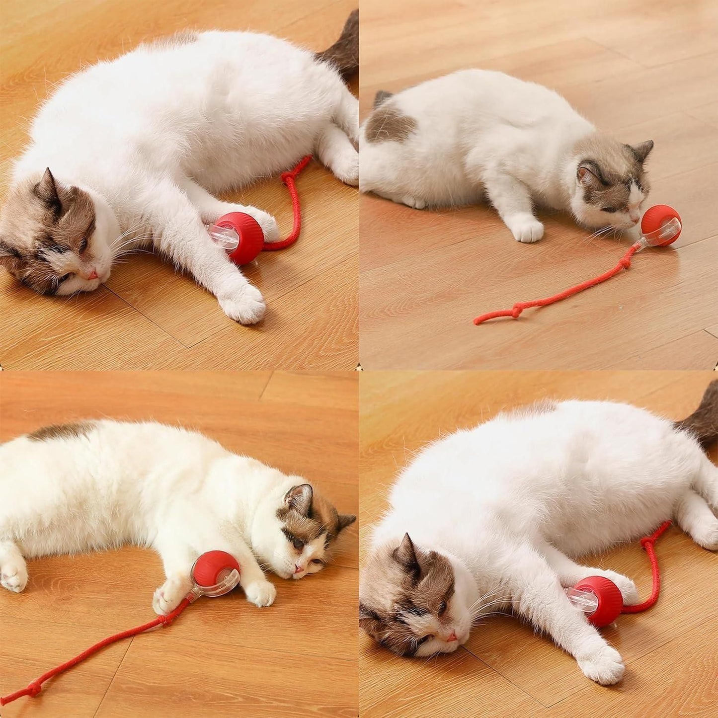Viral Rolling Ball Interactive Cat Ball Toy