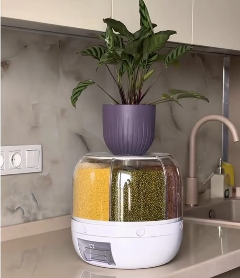 360° Rotating 6 Grid Storage Container