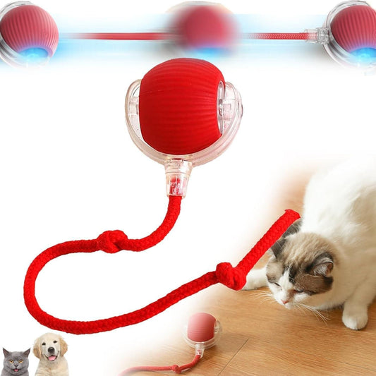 Viral Rolling Ball Interactive Cat Ball Toy